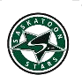 Saskatoon Stars